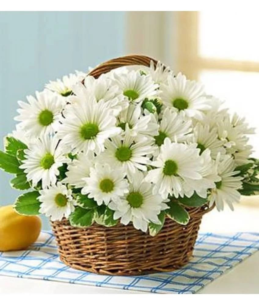 Букет ромашек