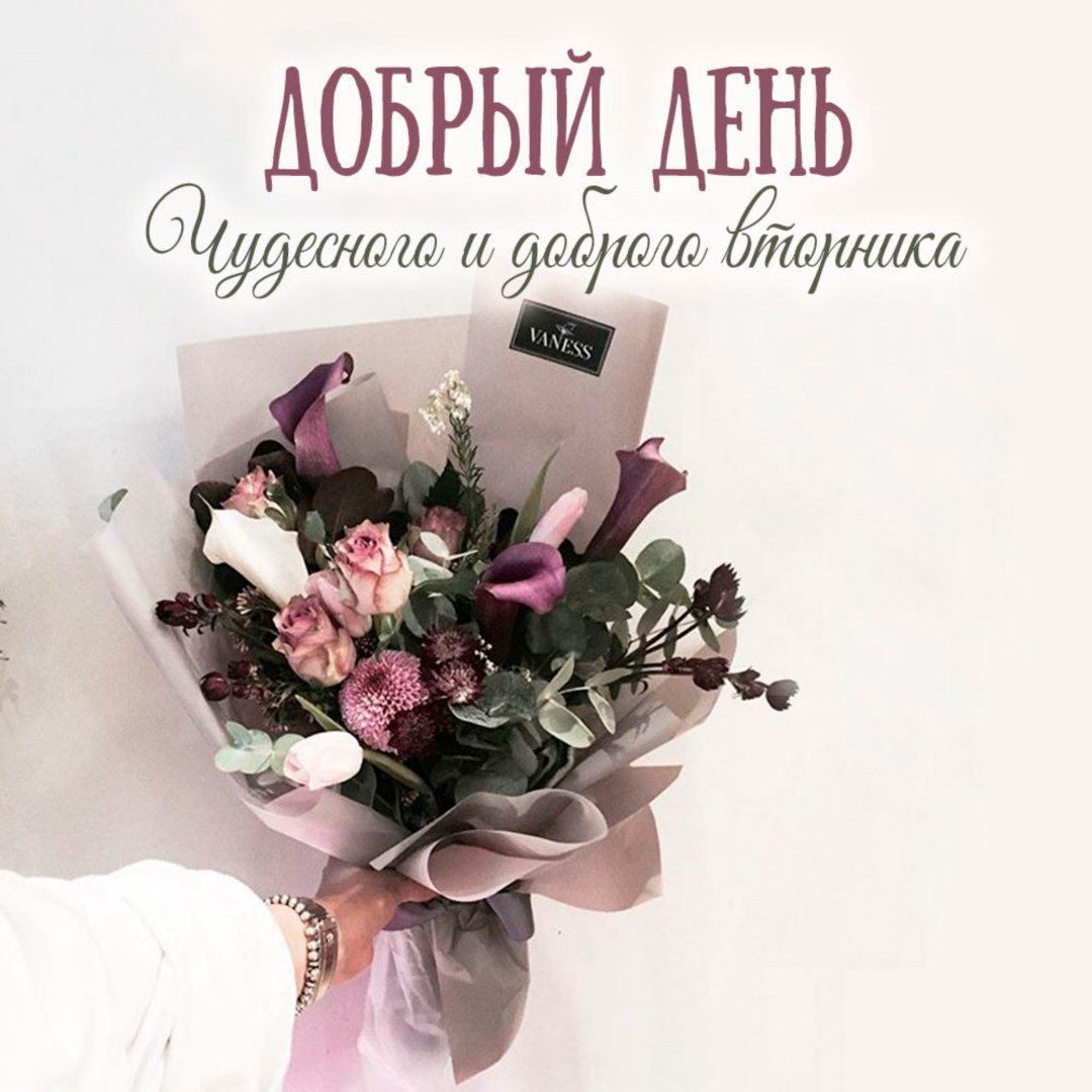 Хорошего дня вторник стильные картинки