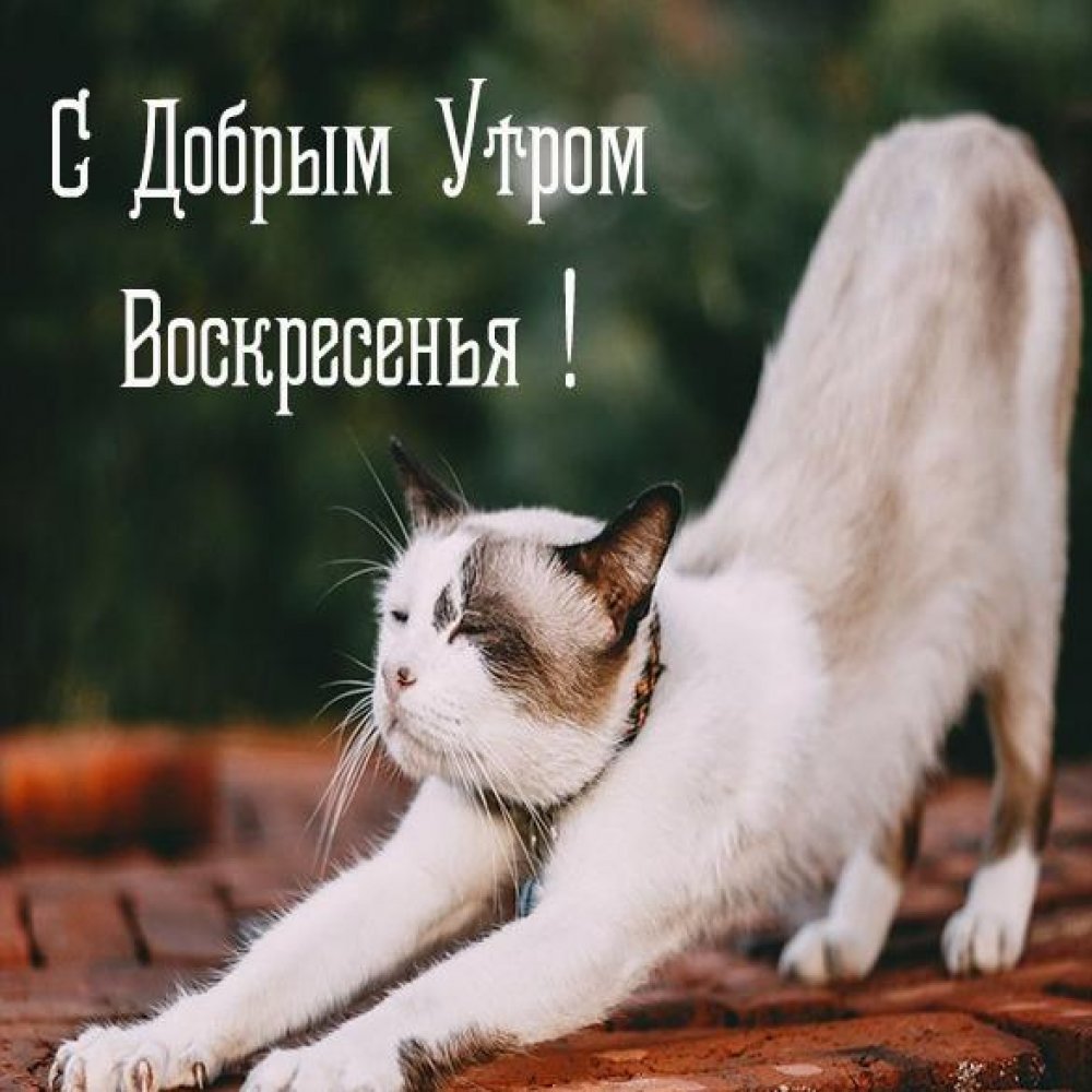 Утро четверга