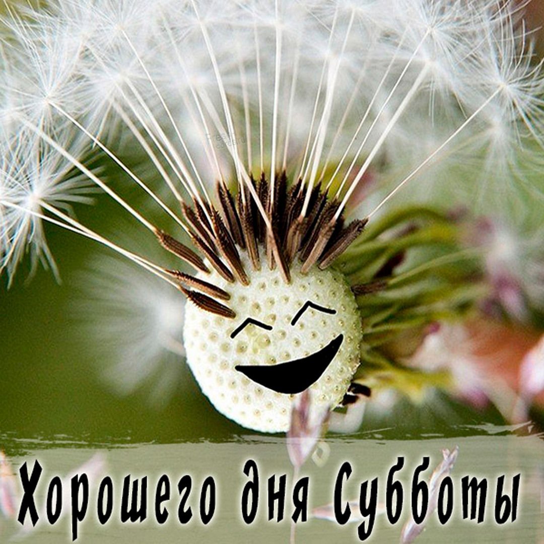 Позитива на весь день