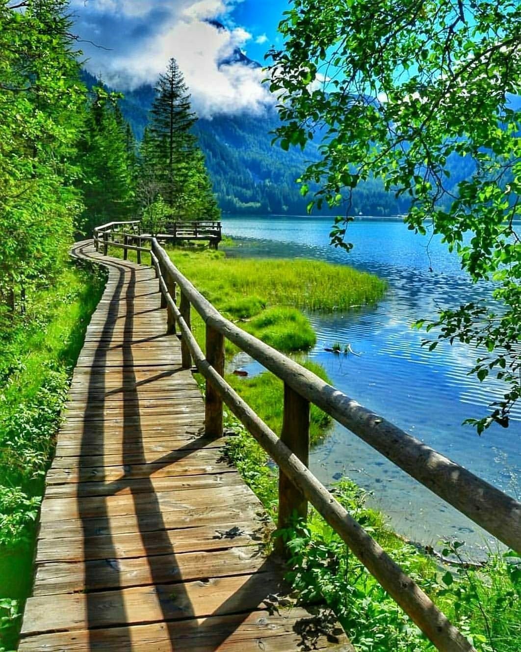 Летние пейзажи природы