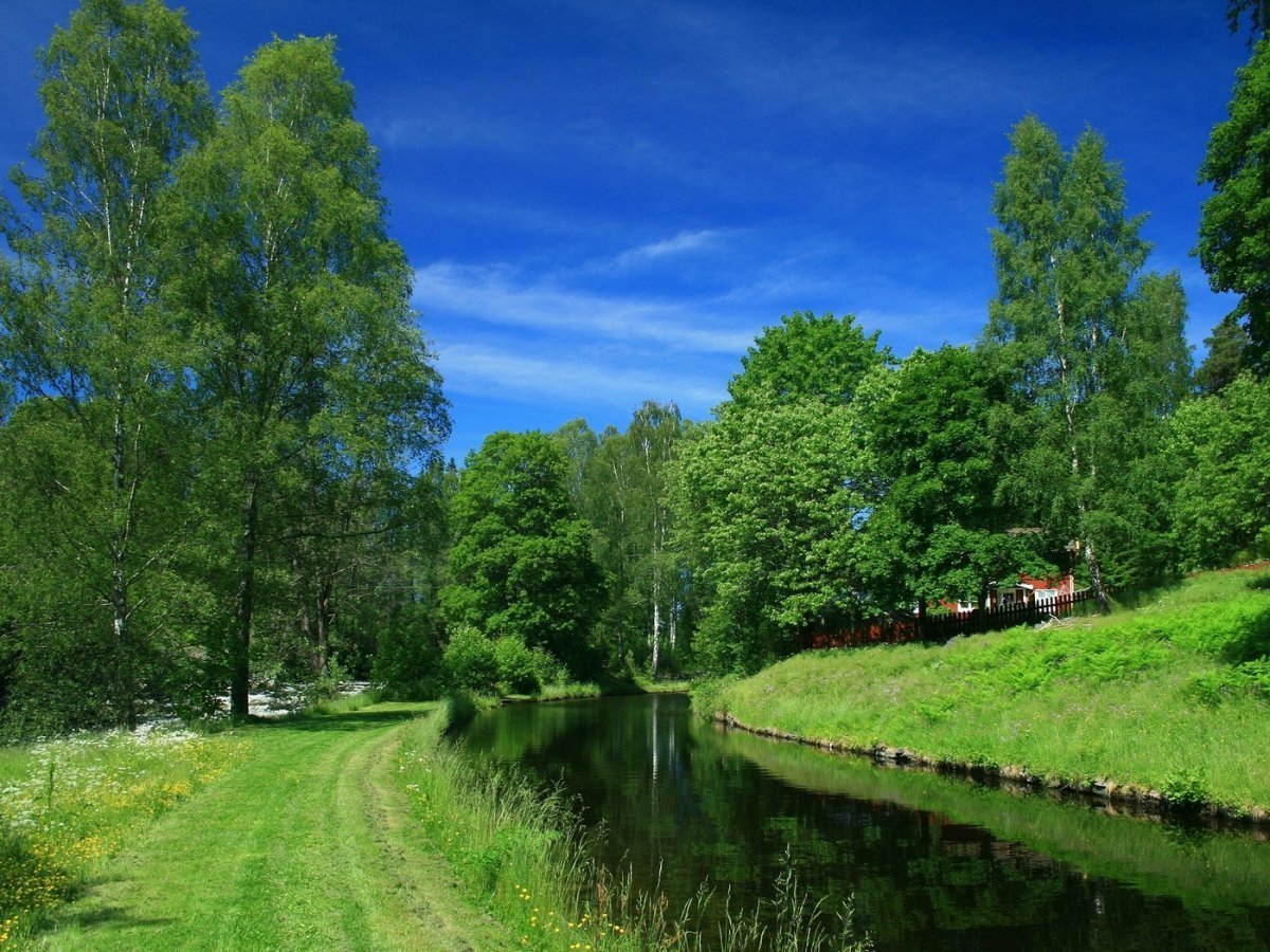 Красивые летние пейзажи