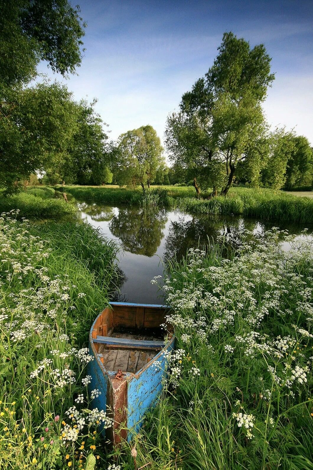 Лето природа