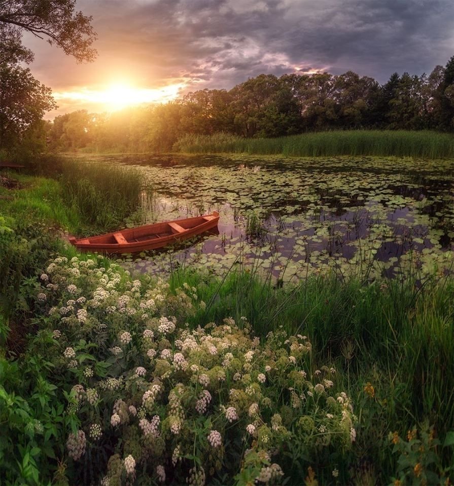 Закат Усманка Воронеж лето