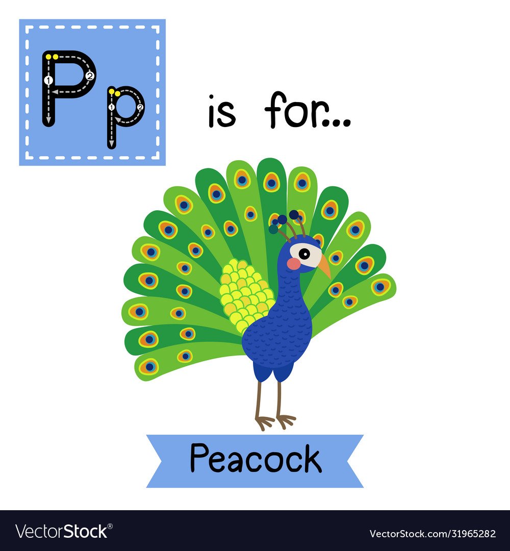 Юго Восточная Азия Павлин