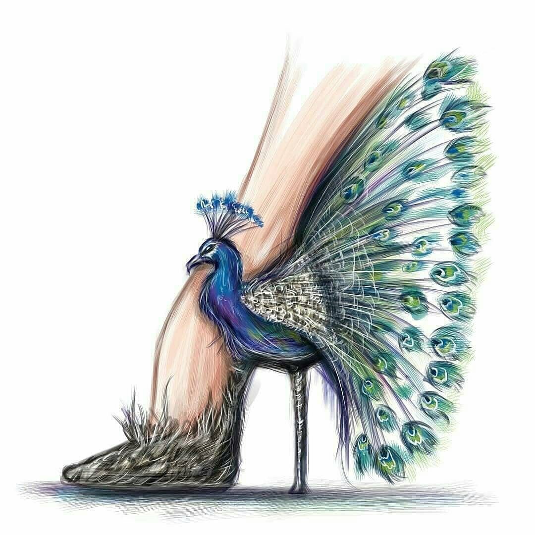Павлин картинка для детей на прозрачном фоне