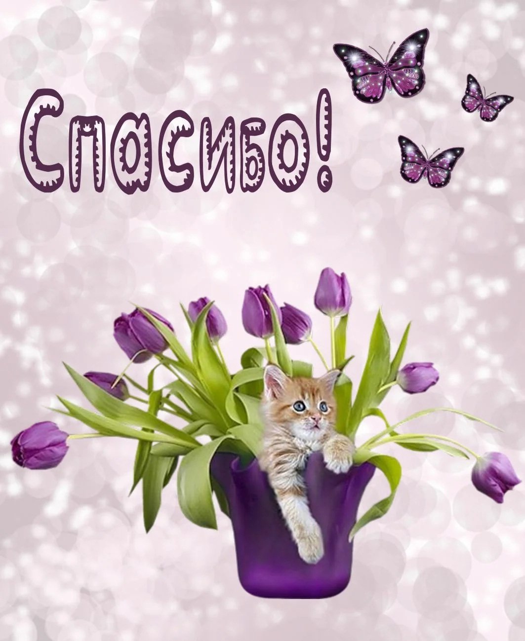 Спасибо очень приятно