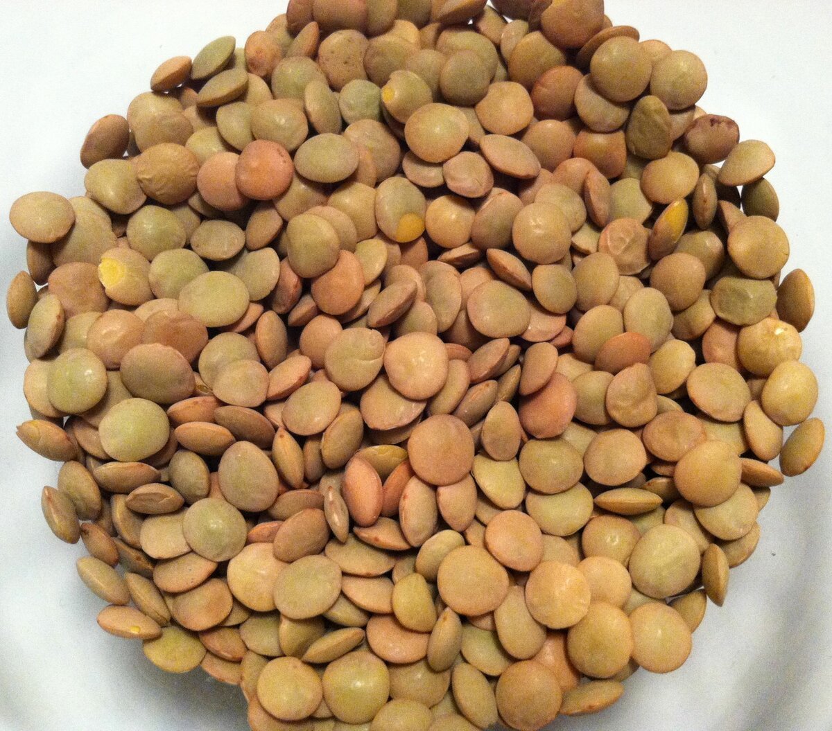 Calories in boiled Lentils
