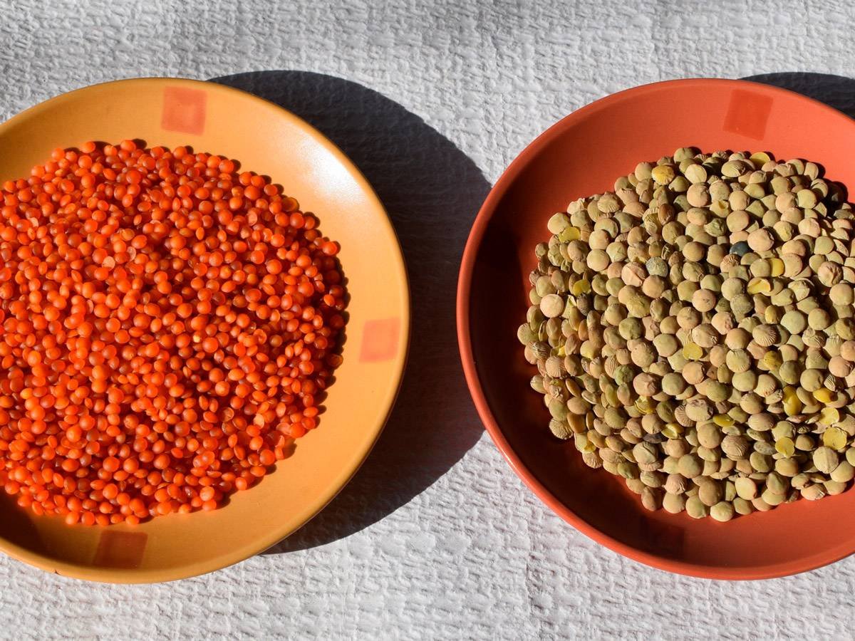 Чечевица красная и зеленая