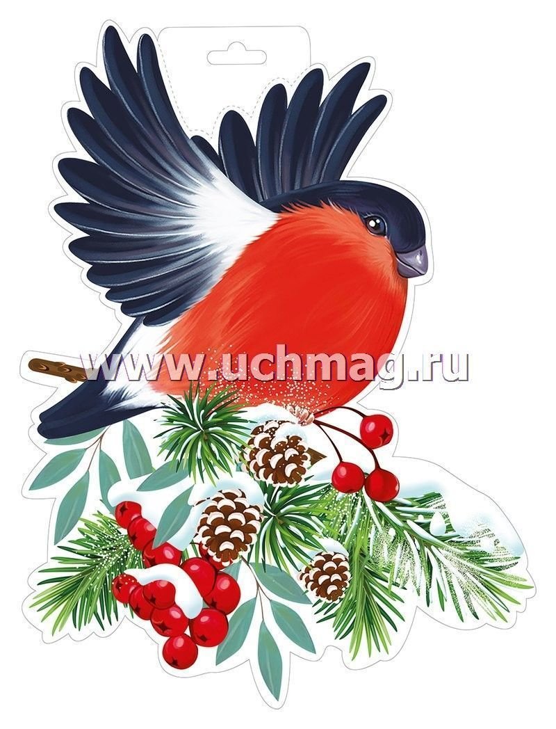 Снегирь картинка на белом фоне