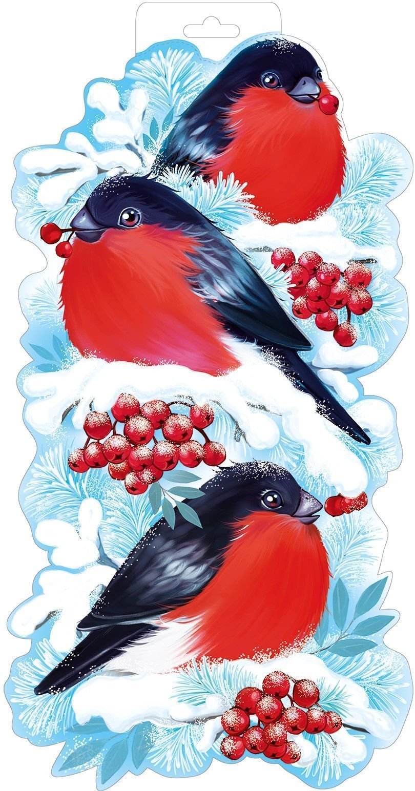 Зимние птицы