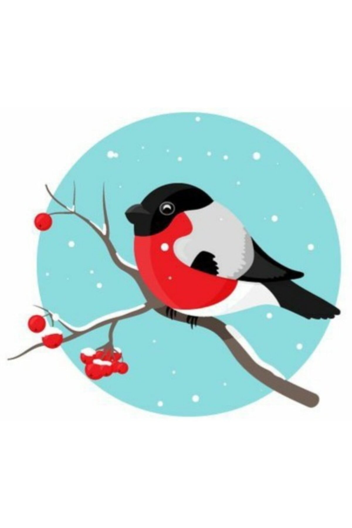 Снегирь картинка для детей