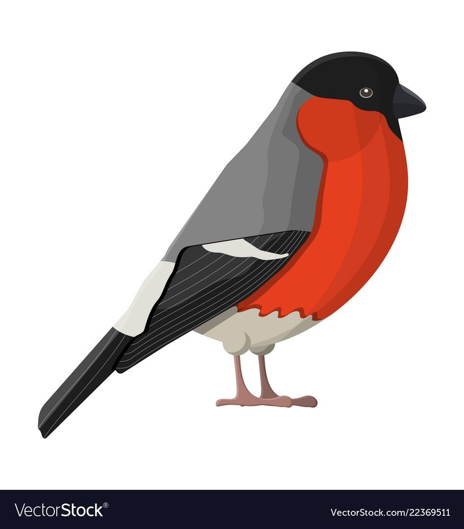 Карточки Домана Снегирь