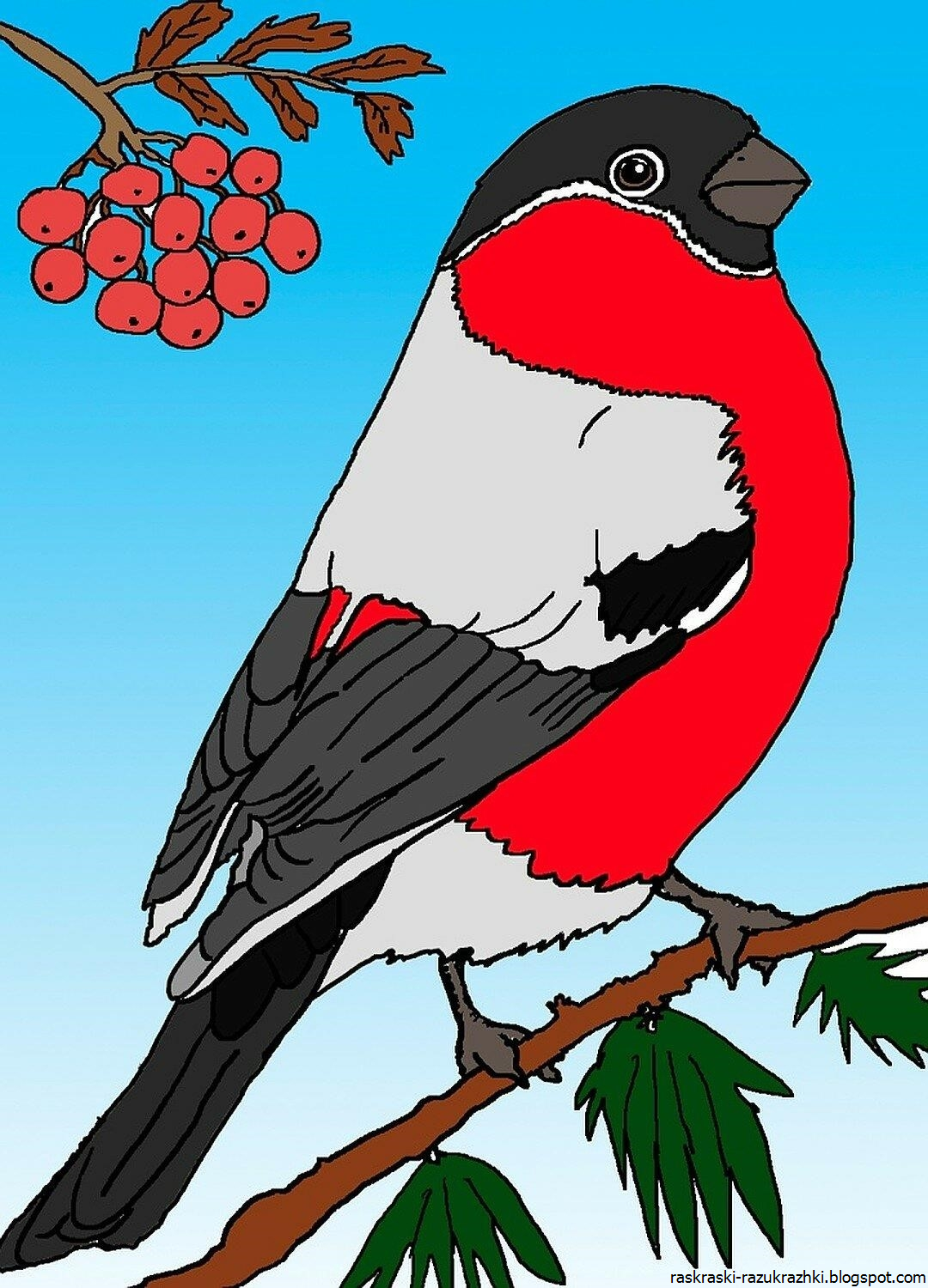 Новогодние Снегири