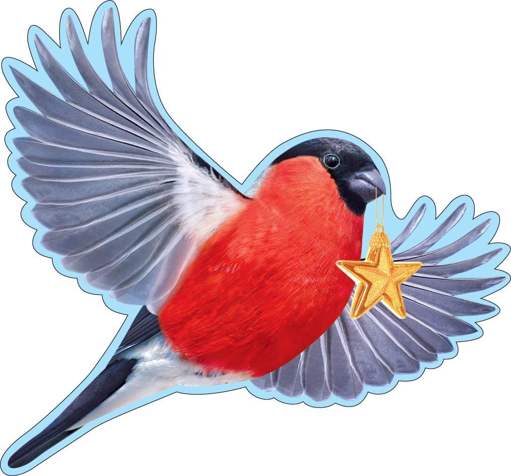 Зимующие птицы