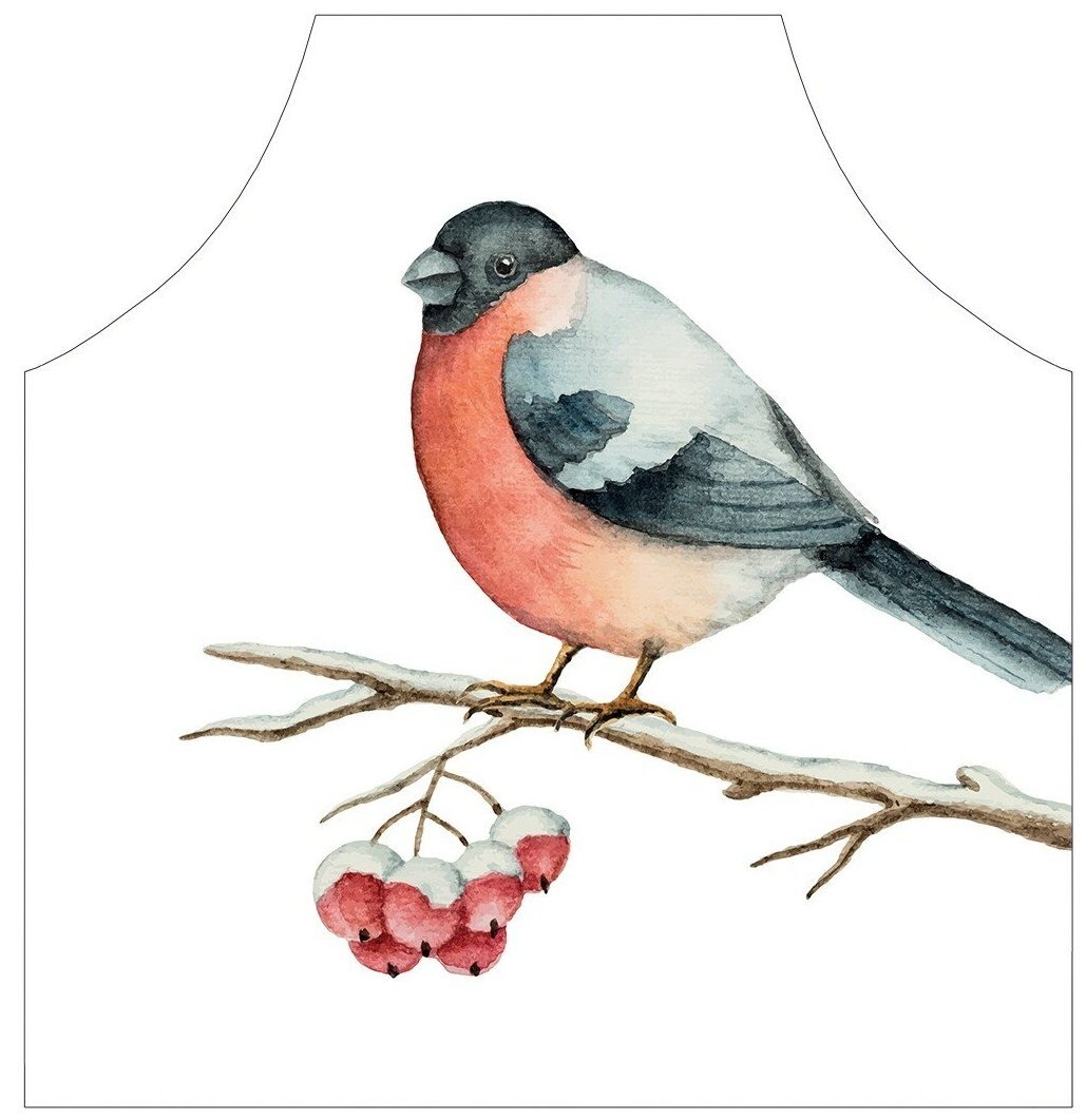 Снегирь картинка для детей