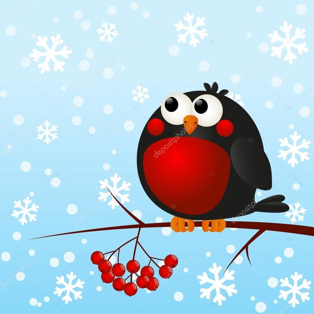 Снегирь красногрудый красавец