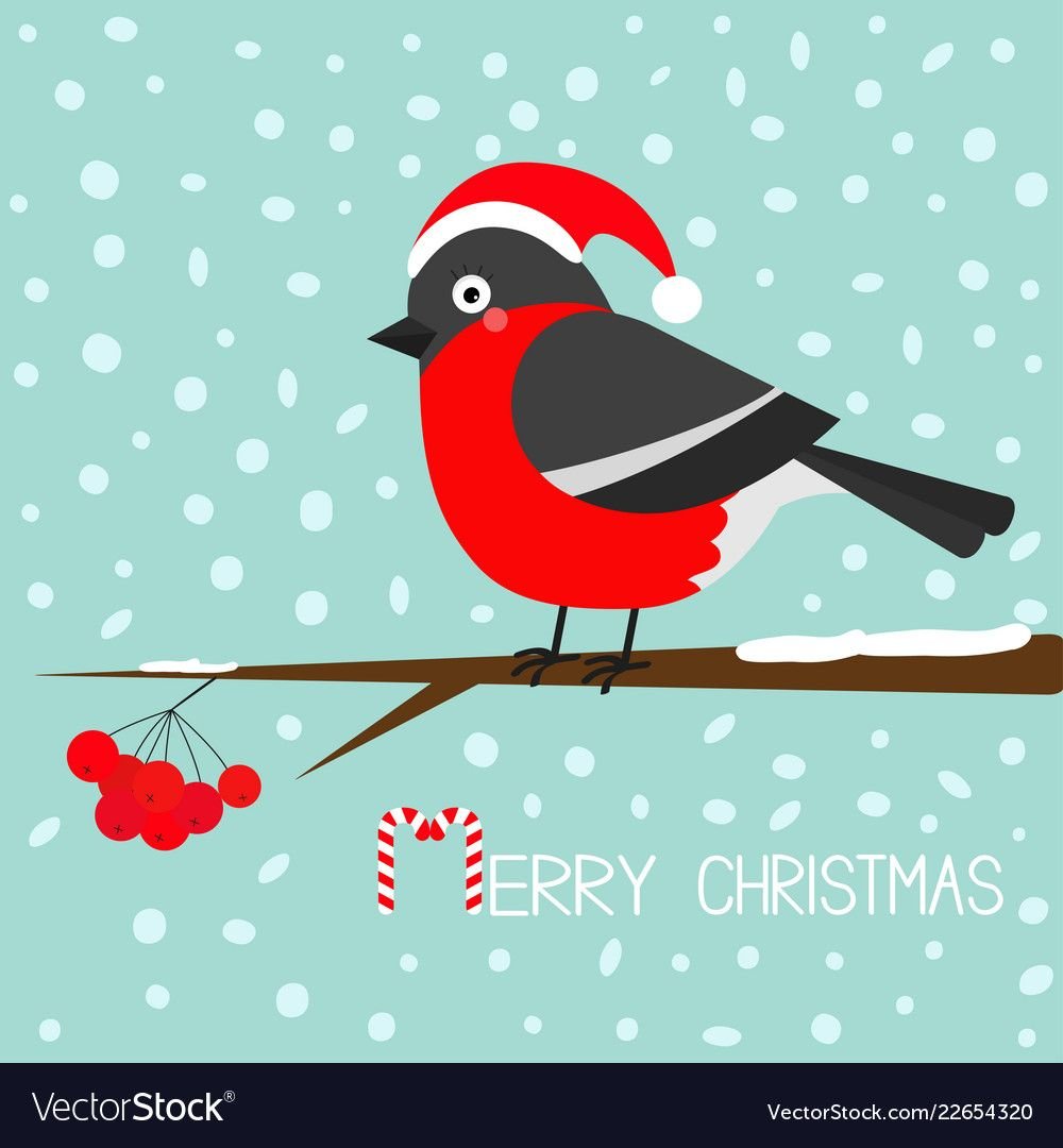 Снегирь на прозрачном фоне