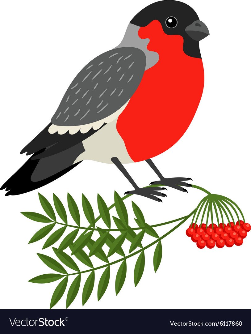 Картинка снегирь для детей в детском саду