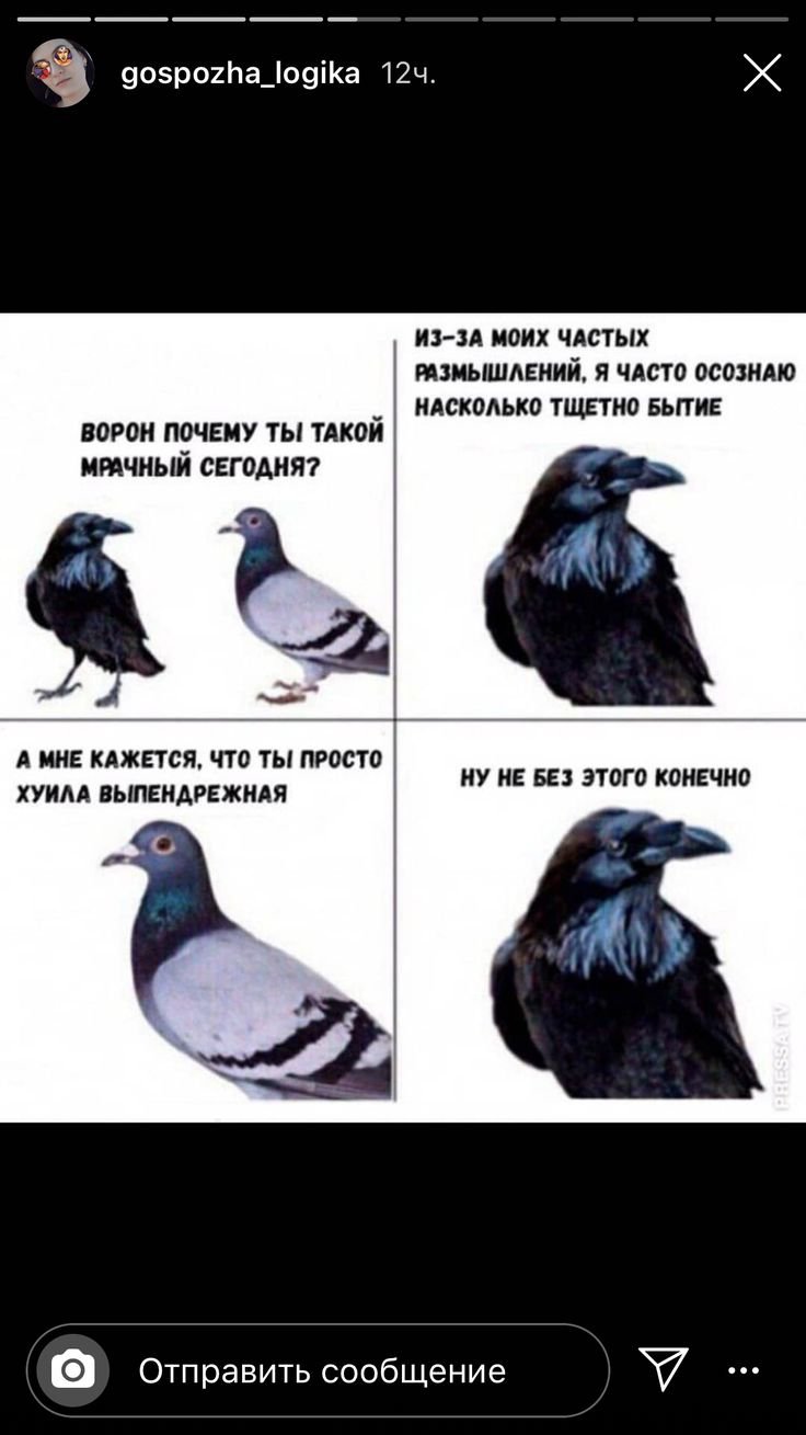 Джек Воробушек