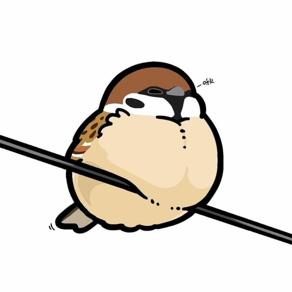 Голубь на аву