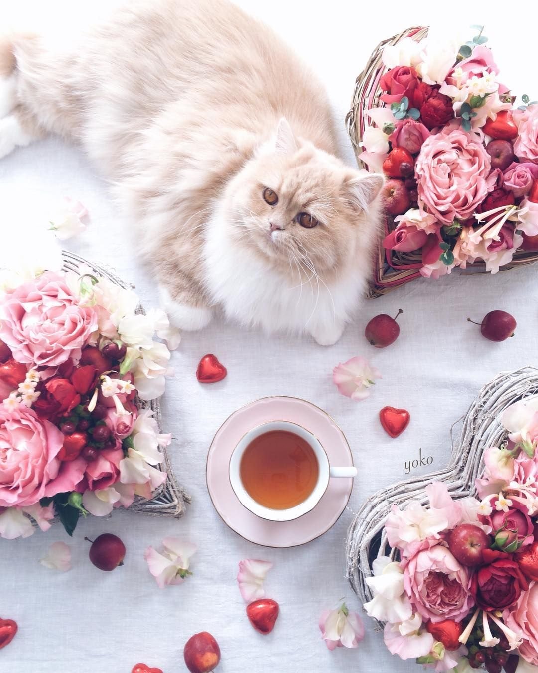 Открытки с добрым утром красивые