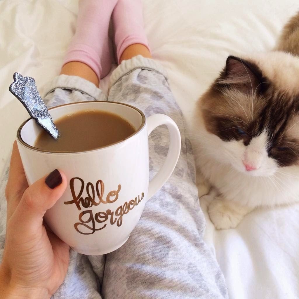 Доброе утро котик и кофе