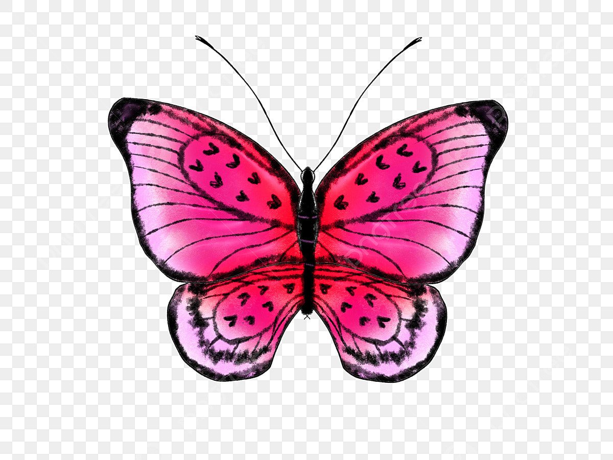 Красная бабочка без фона