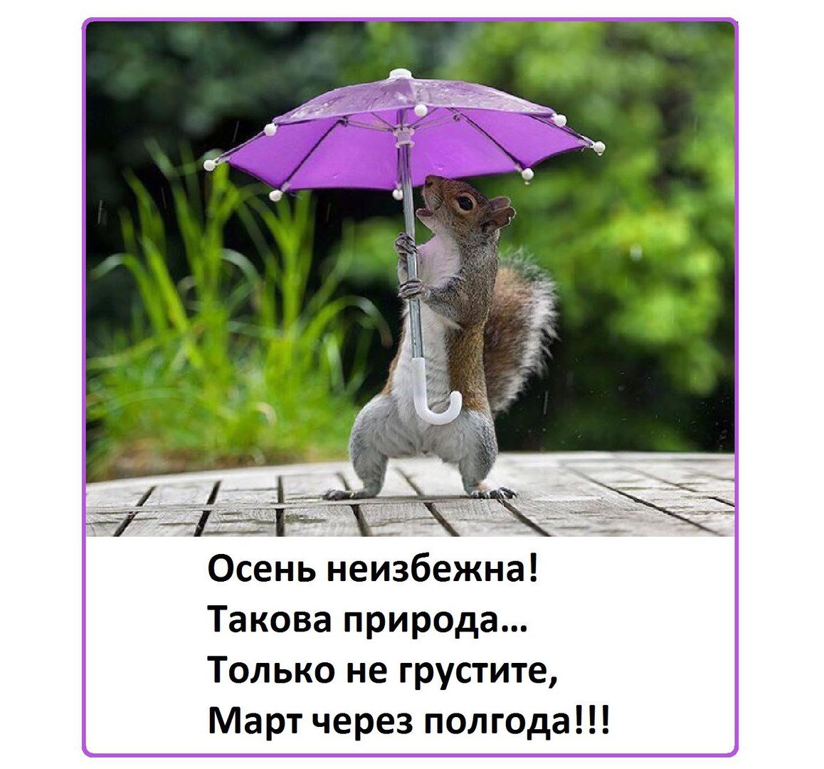 Осень неизбежна