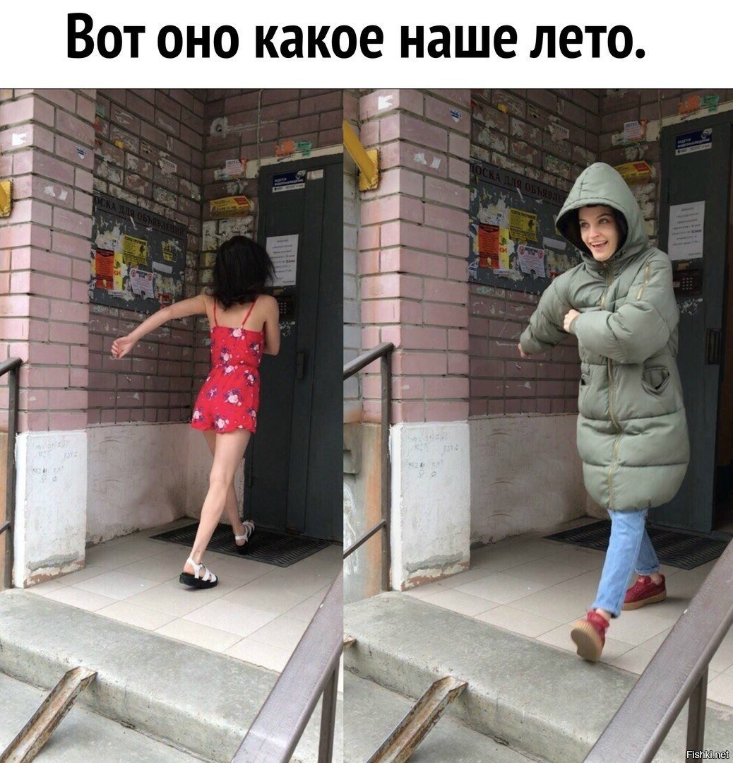 Холодное лето юмор
