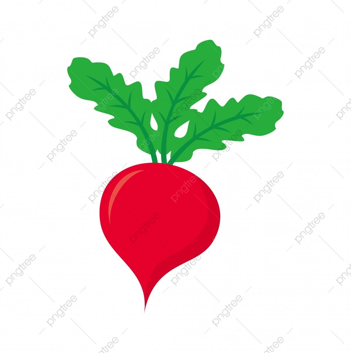 Редиска мультяшный