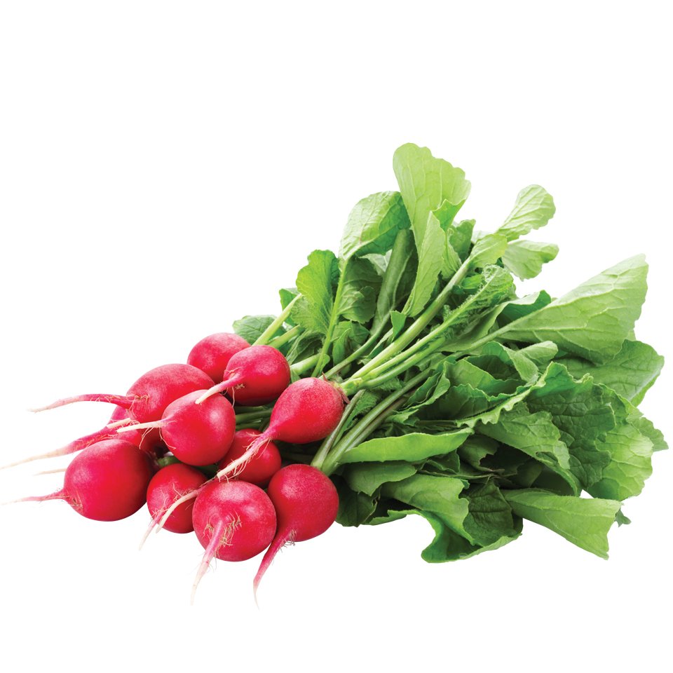 Редиска и морковка