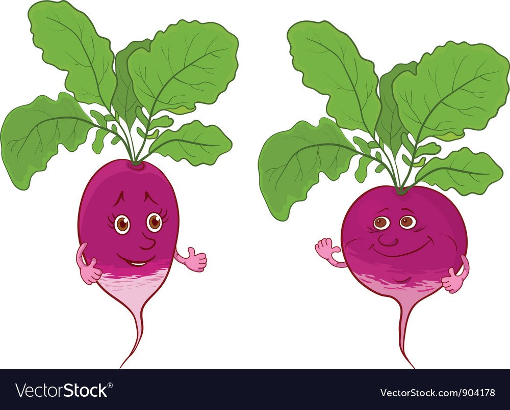 Веселая редиска