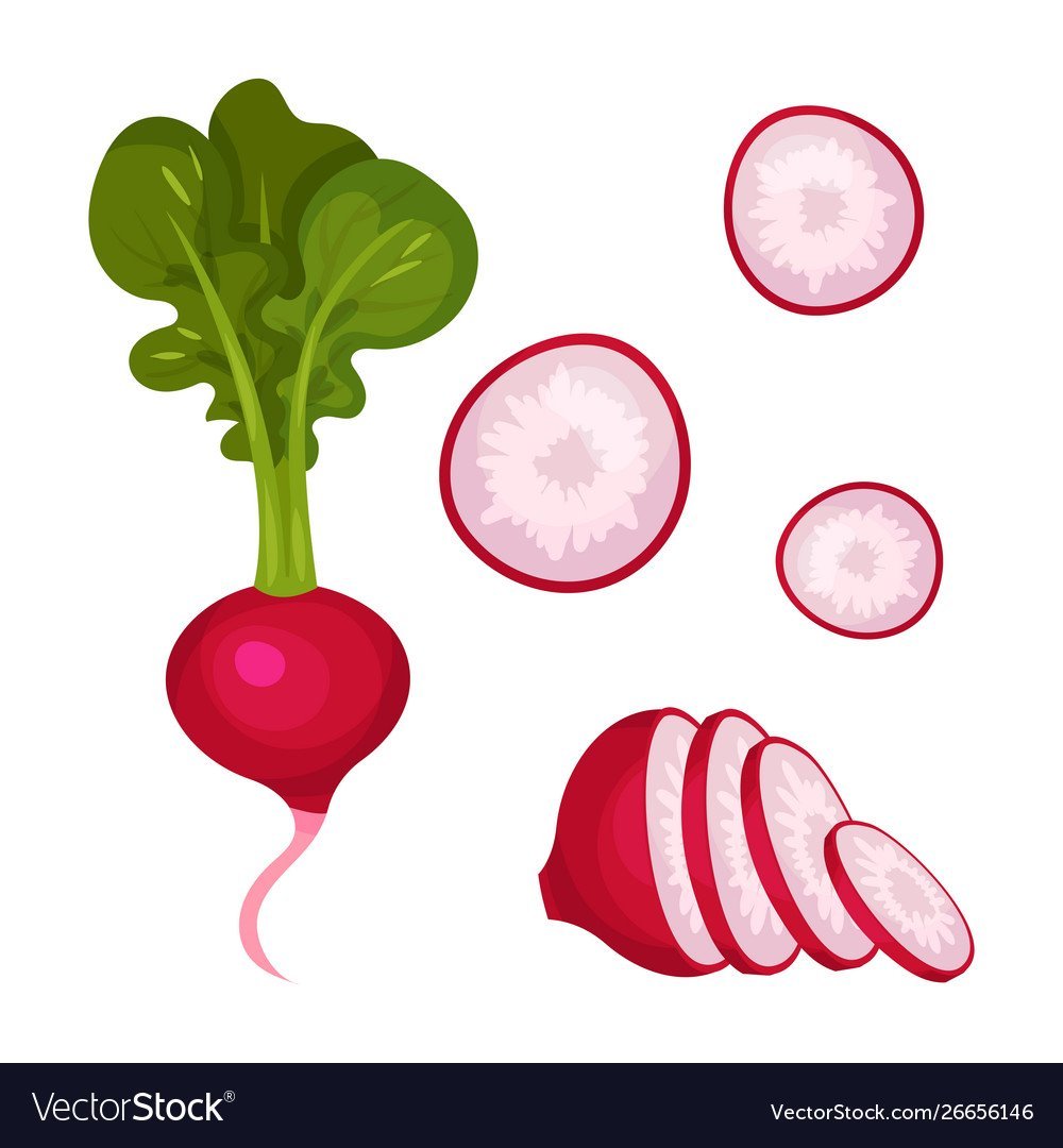 Редис мультяшный без фона