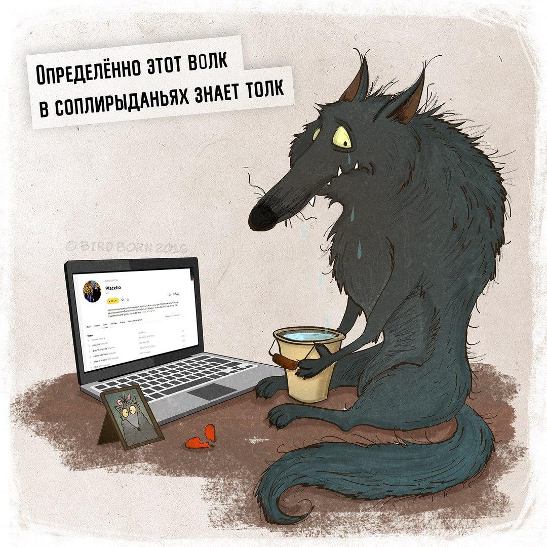 Анекдоты про Волков