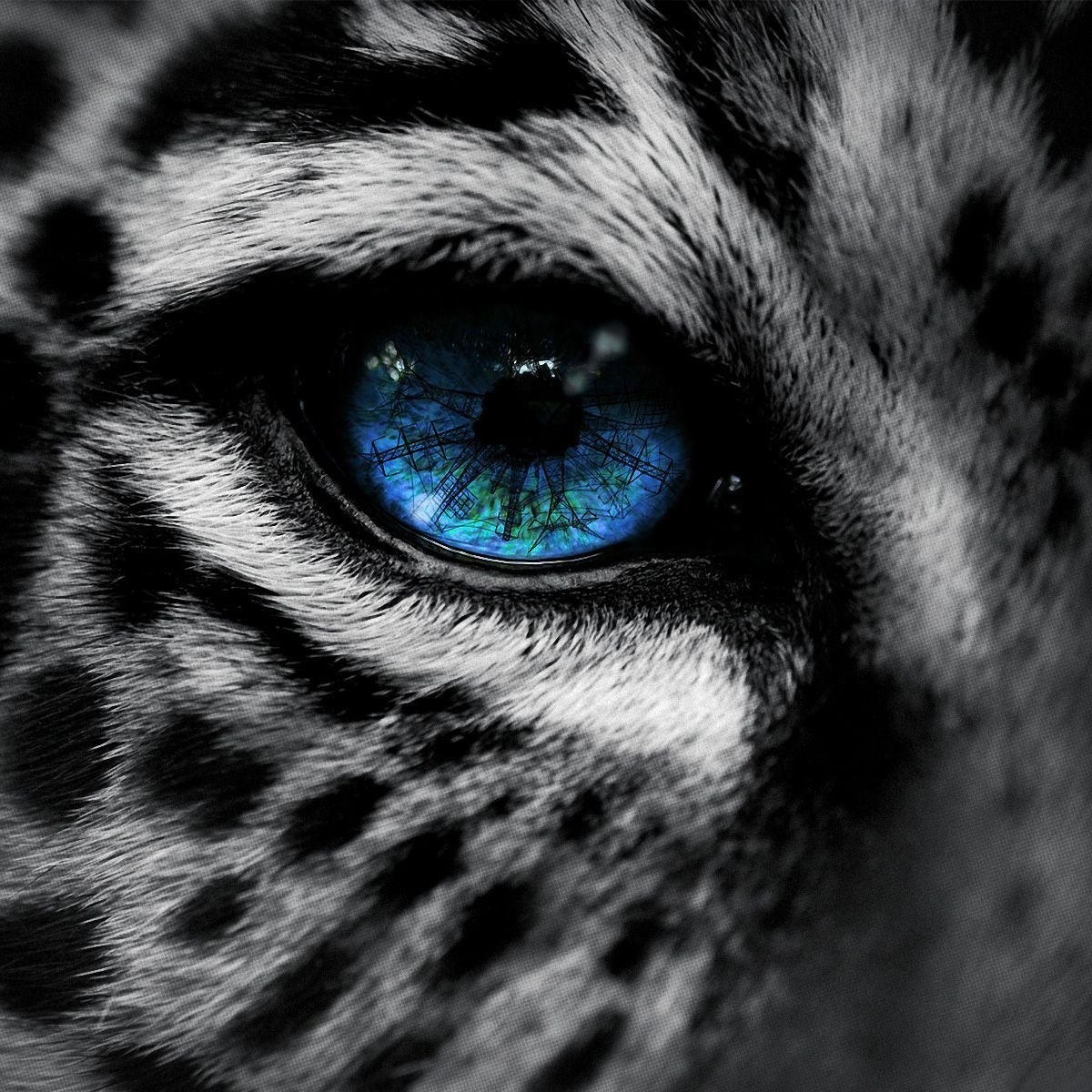 Португальский художник Самюэль Сильва