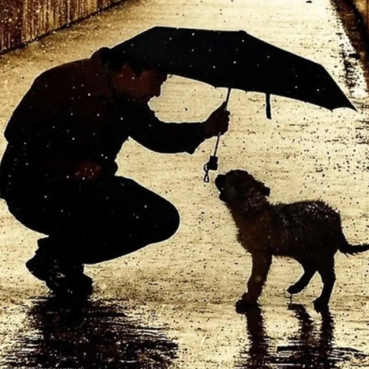 Добрые поступки людей