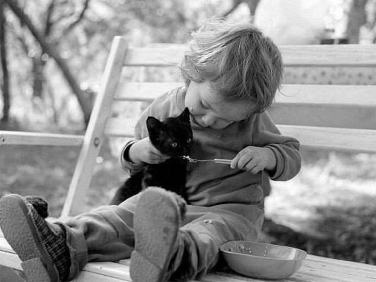 Хорошие и плохие поступки