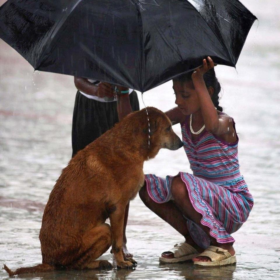 Парк для детей