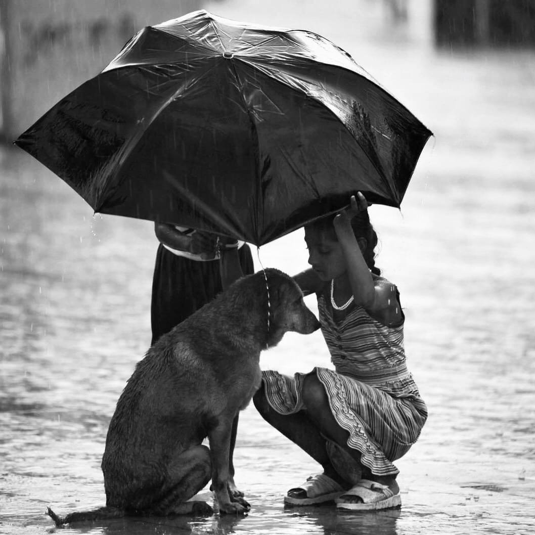 Хорошие поступки картинки