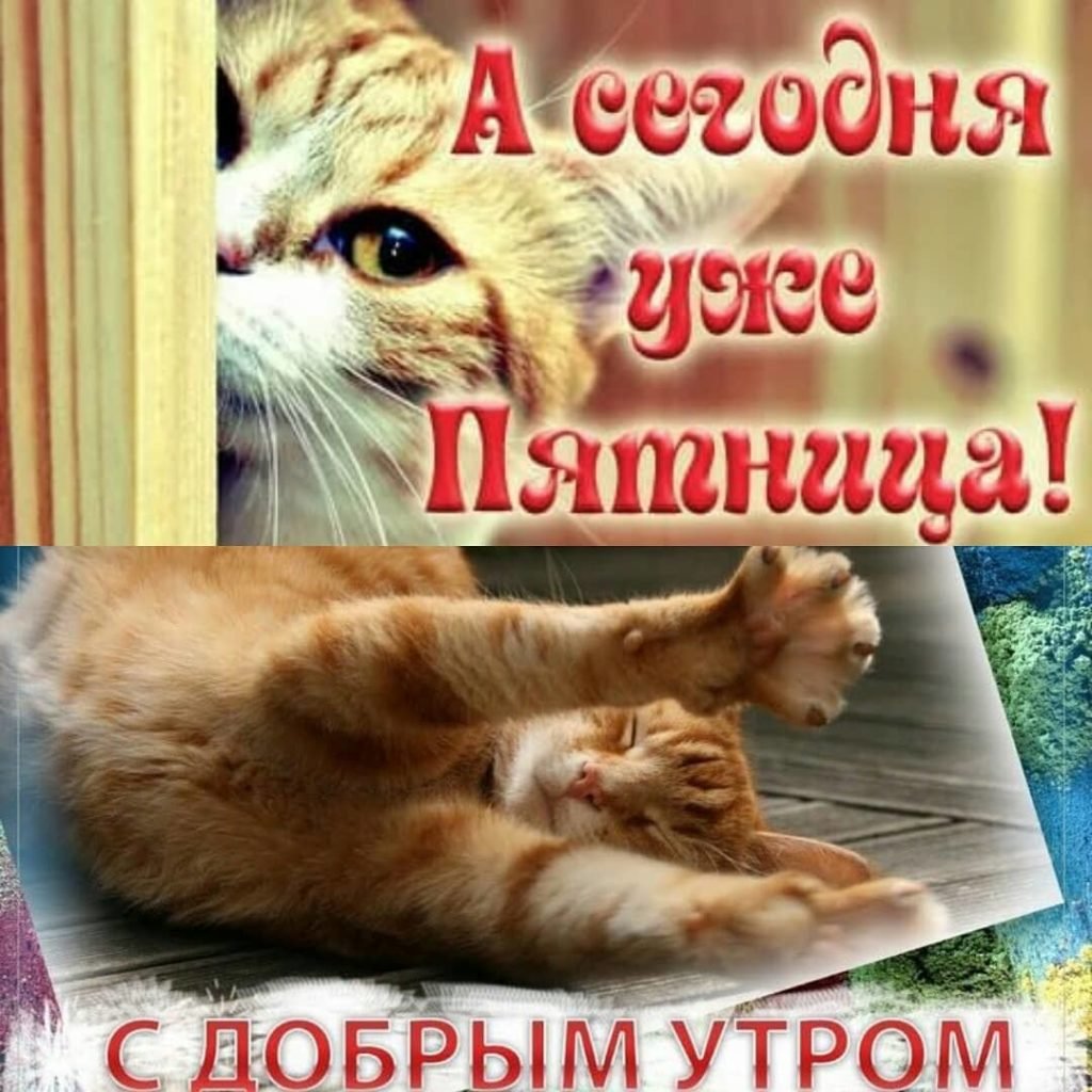 Утро пятницы