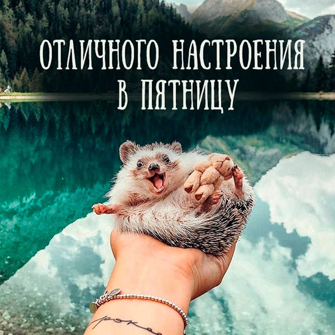 С пятницей картинки красивые необычные