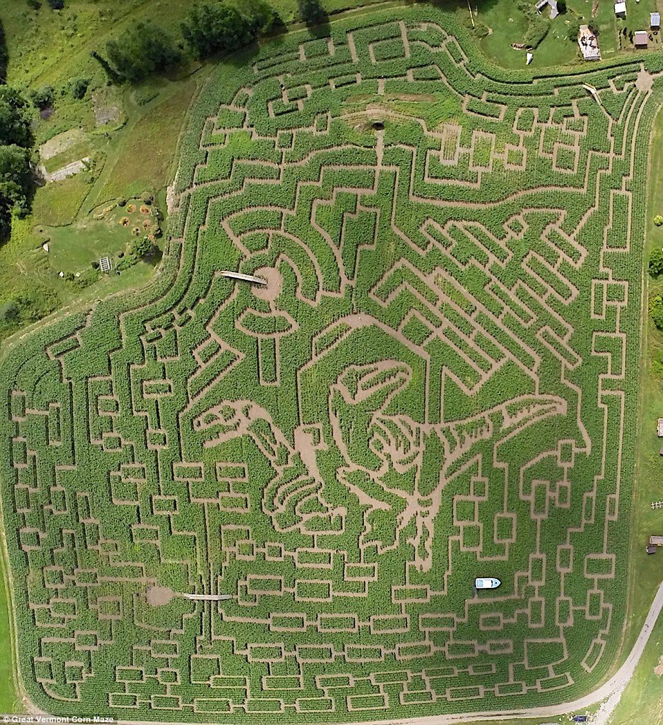 Лабиринт Davis' Mega Maze