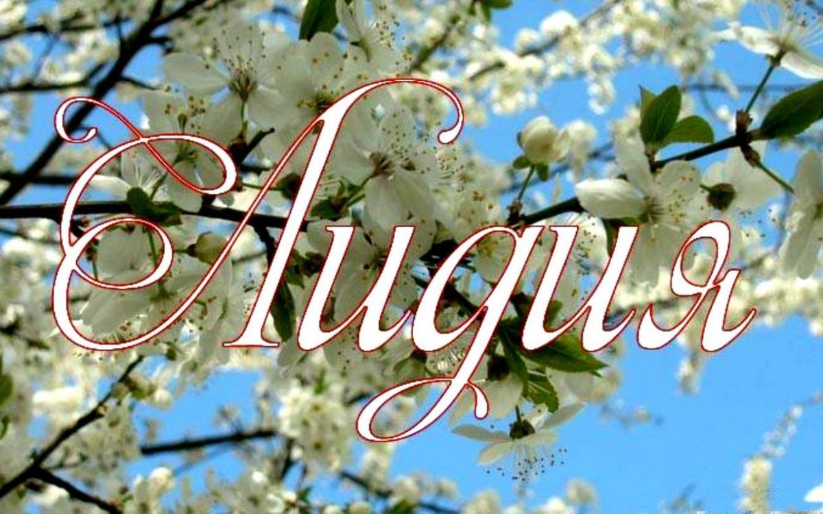 Белые и розовые розы в корзине