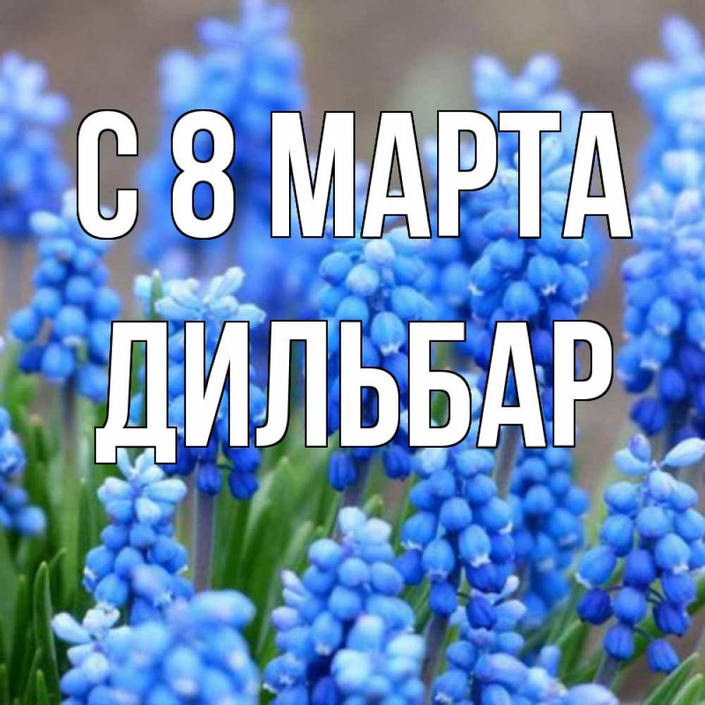 Поздравления с днём рождения