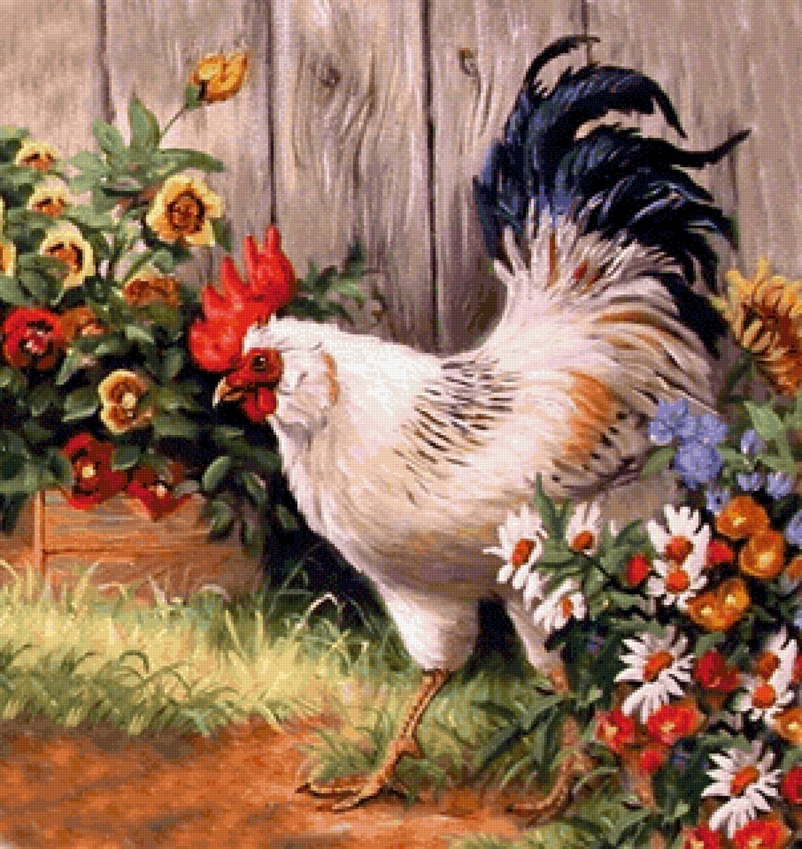 Петух с курами