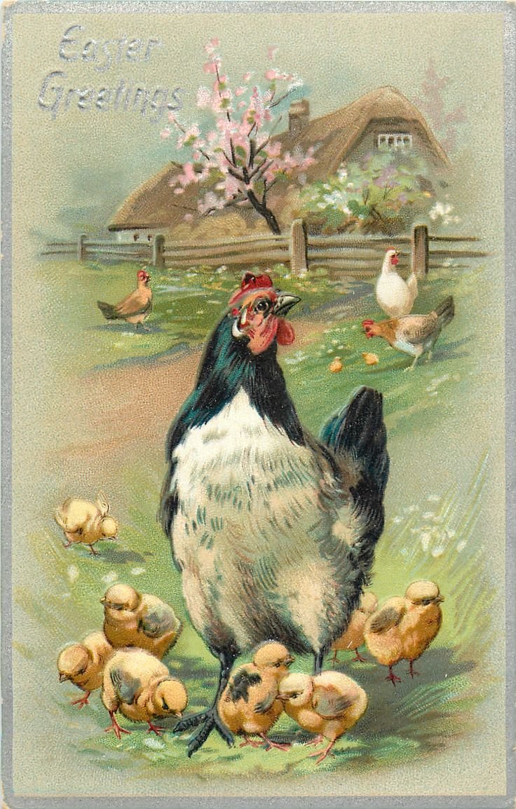 Петух на заборе