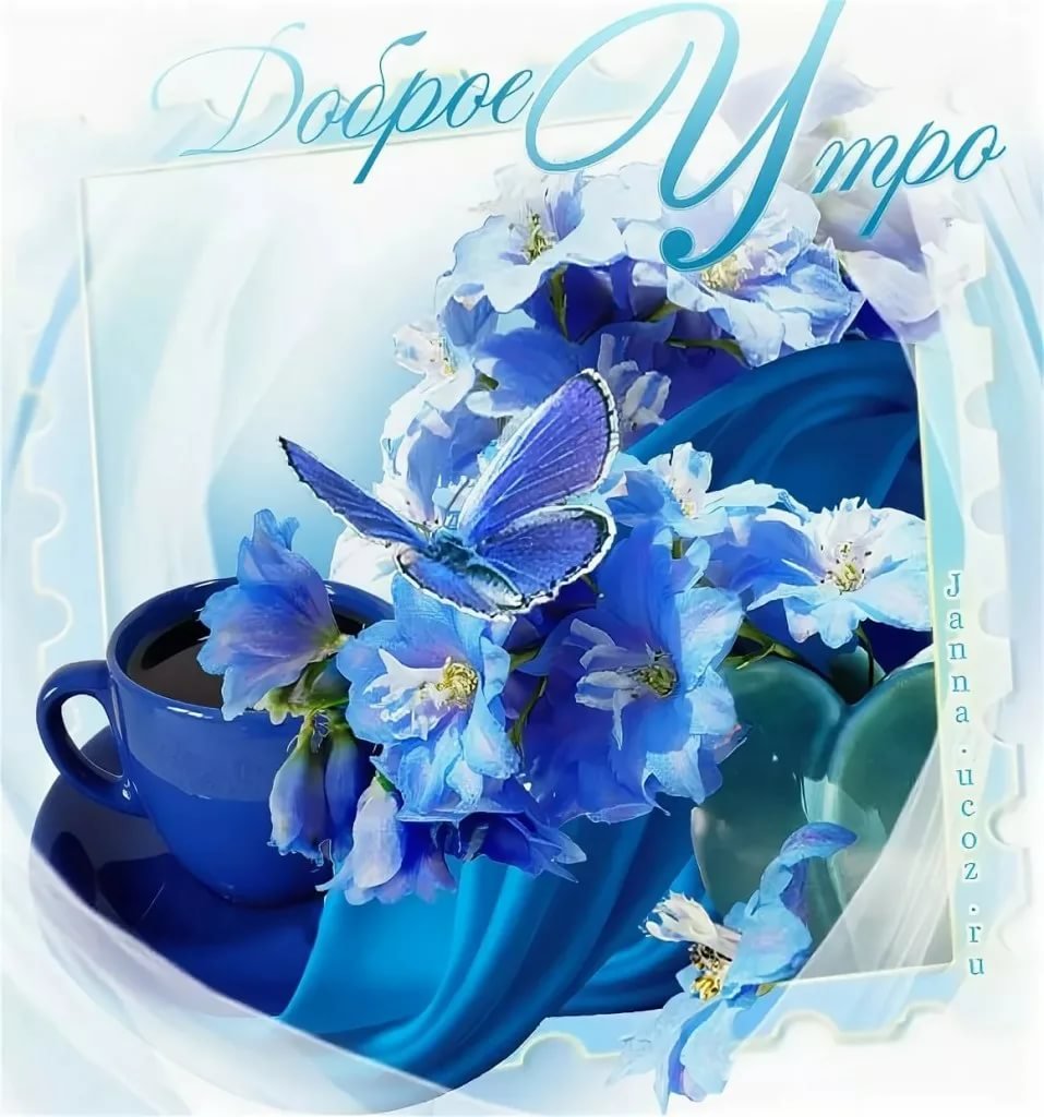 Доброе утро цветы