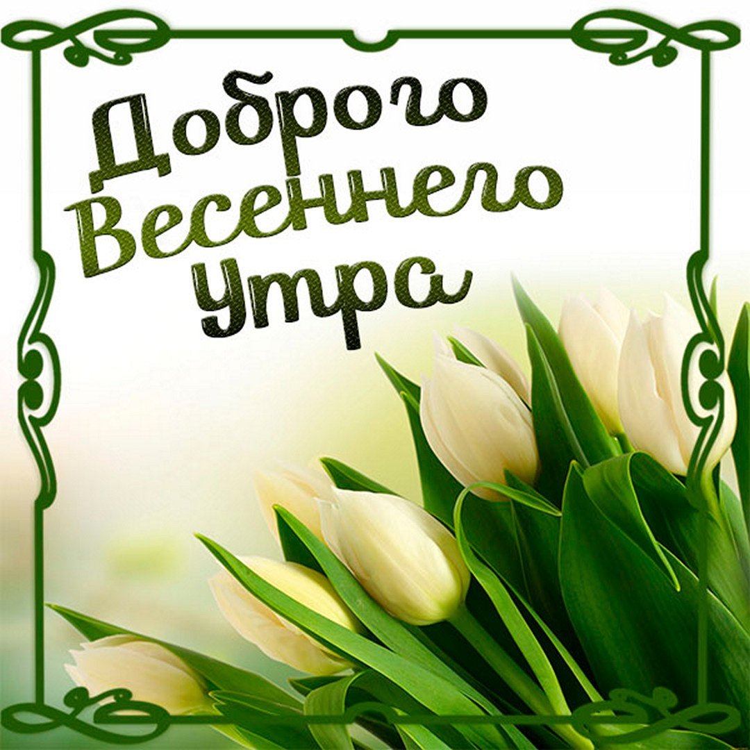Доброе Весеннее утро