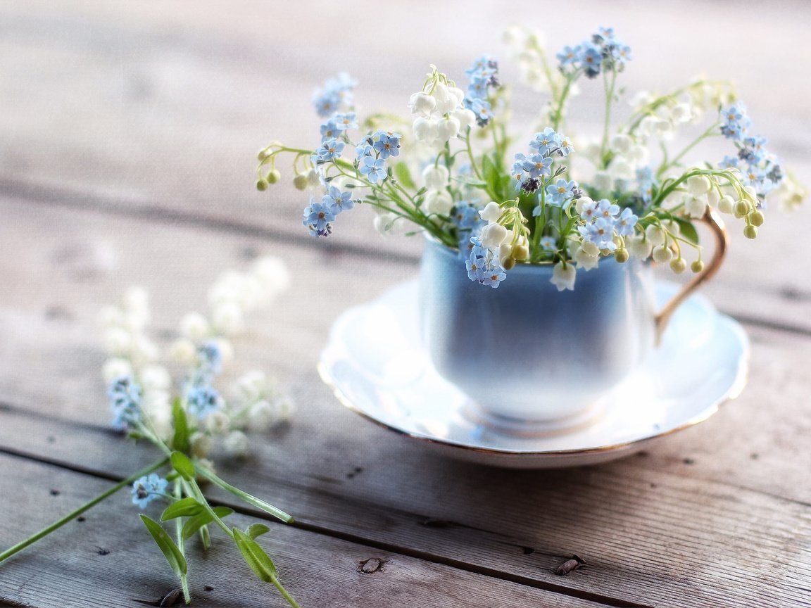 С добрым утром Весна